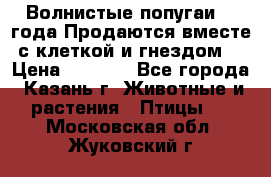 Волнистые попугаи, 2 года.Продаются вместе с клеткой и гнездом. › Цена ­ 2 800 - Все города, Казань г. Животные и растения » Птицы   . Московская обл.,Жуковский г.